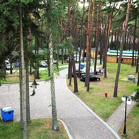 Camping Wiking *